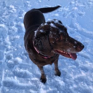 Meet your Posher, Karen